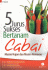 5 Jurus Sukses Bertanam Cabai Musim Hujan dan Musim Kemarau